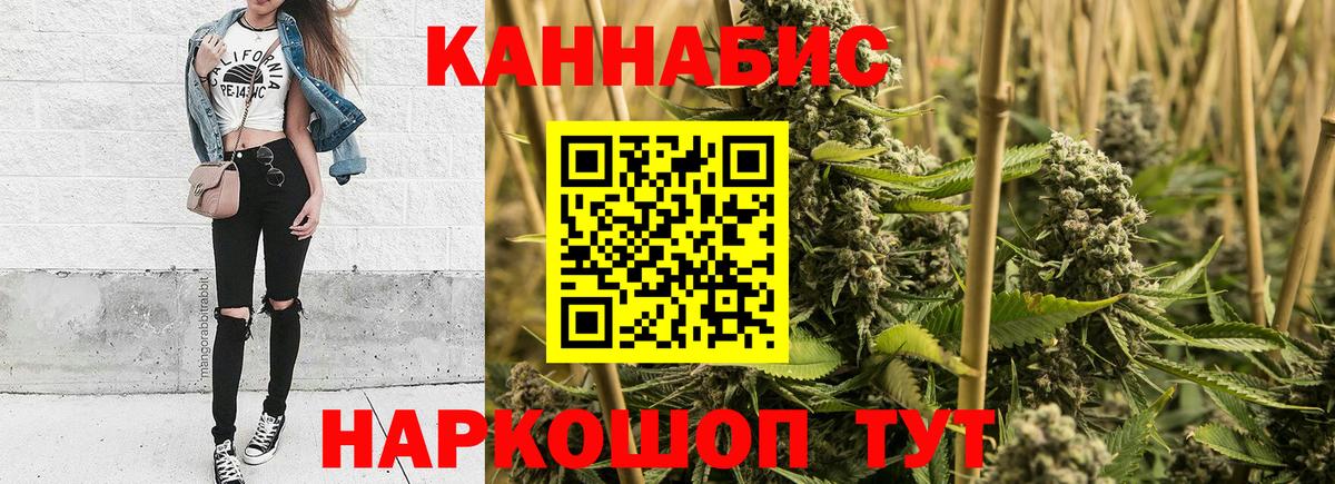 Каннабис OG Kush Алатырь